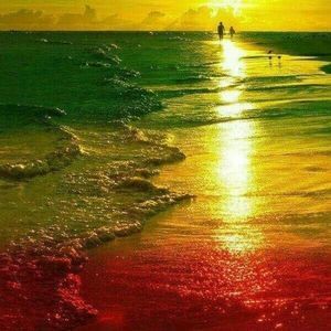 Meet your Posher, Marisel